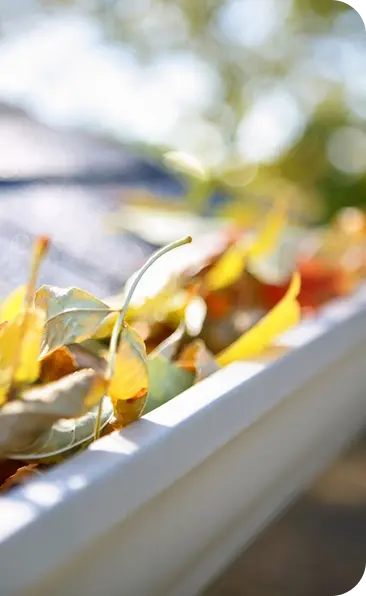 Gutter guard estimate